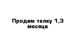 Продам телку 1,3 месяца 